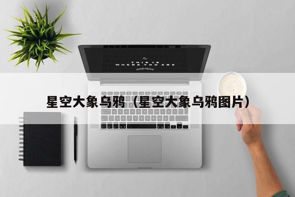 星空大象乌鸦（星空大象乌鸦图片）